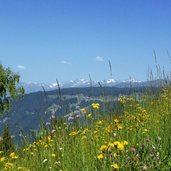 wiesen am roemerweg bei kammerlechen