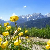 wiesen bei kammerlechen roemerweg aussicht dolomiten