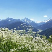 wiesen bei kammerlechen roemerweg aussicht dolomiten