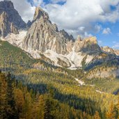 bosco autunnale con scorci dolomitici piz popena monte cristallo