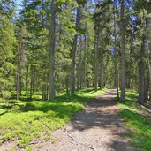 roemerweg oberhalb von niederdorf