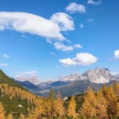 bosco autunnale e vista su Misurina