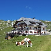 rifugio sennes huette alm kuehe