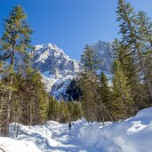 innerfeldtal weg und dreischusterspitze