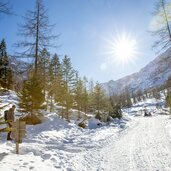 innerfeldtal weg und rodelbahn