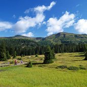 feuchtwiesen am weg nr oberhalb von kreuzbergpass