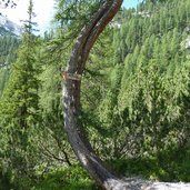 wanderweg im rautal tamerstal wegweiser pederue