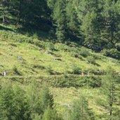 forststrasse ins dorfertal praegraten weg