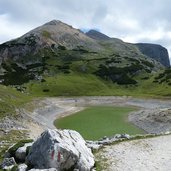 limosee und col becei