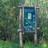 kalserbach schotterfluren rundwanderweg wassererlebnis