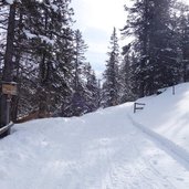 weg von pederue nach fodara vedla winter