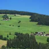 prags sommer ausserprags schweinberg porcara