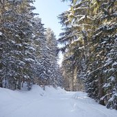 rodelbahn leckfeldalm weg