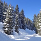 rodelbahn leckfeldalm weg