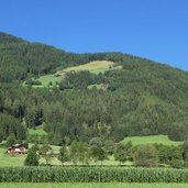 ramwald hoefe oberhalb montal boschi e prati sopra mantana