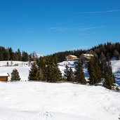 schneelandschaft roner alm