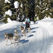 hundeschlitten bei nemesalm sexten winter