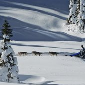 hundeschlitten bei nemesalm sexten winter