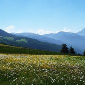 weg nr von pianerkreuz richtung astjoch rodeneckeralm fr