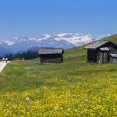 blumenwiesen wiesen landschaft rodenecker alm wanderer