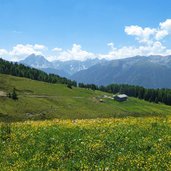 rodenecker luesner alm blick richtung plaseller alm steineralm