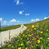 weg nr richtung astjoch rodenecker alm