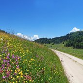 weg nr richtung astjoch rodenecker alm