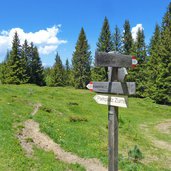 wegweiser b richtung pianer kreuz rodenecker alm