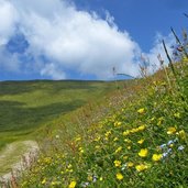 weg von zassleralm richtung weissenalm gitschberg