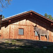 hof am weg a kiens hofern