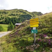 wegweiser wanderwege bei kamelisenalm