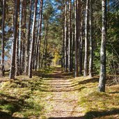 weg von hofern nach st martin