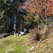 weg von st martin hofern nach kiens herbst farben