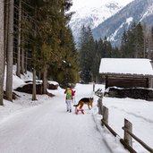 winter talschluss gsiesertal beginn rodelbahn