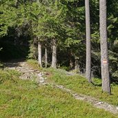 weg nr reischach nach haidenberg