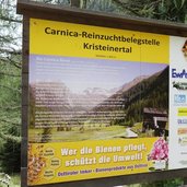 carnica bienenzucht kristeinertal