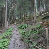 weg bei stefansdorfer kaser alm