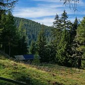 stefansdorfer kaser alm