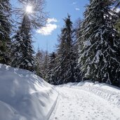 winterwald am weg zur pertinger alm