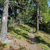 panoramaweg auf den kronplatz