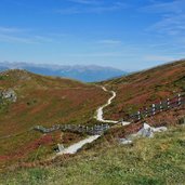 herbstlandschaft heide am kronplatz