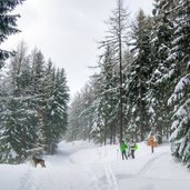 anstieg von st johann ahrntal muehlegg nach klausberg wegkreuzung winter