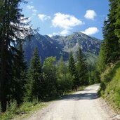 gueterweg leckfeldalm dahinter hochgruben karnischer kamm