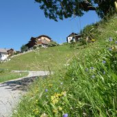 wiesen aufstieg furkelpass