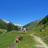 kasern talschluss ahrntal heilig geist kirche kuehe new