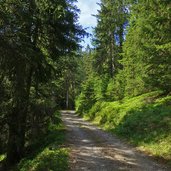 forstweg zur walder alm