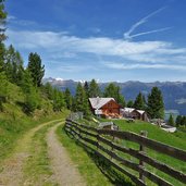 forstweg oberhalb von walder alm