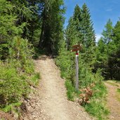 weg nr in richtung burgstall astjoch