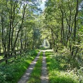 drau radweg r bei unterpirkach