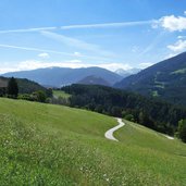 wiesen am schmetterlingsweg oberhalb von st sigmund kiens